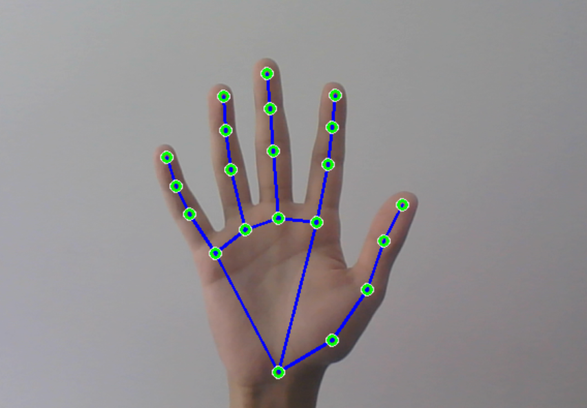 Gesture Detector and Sign Language Interpreter